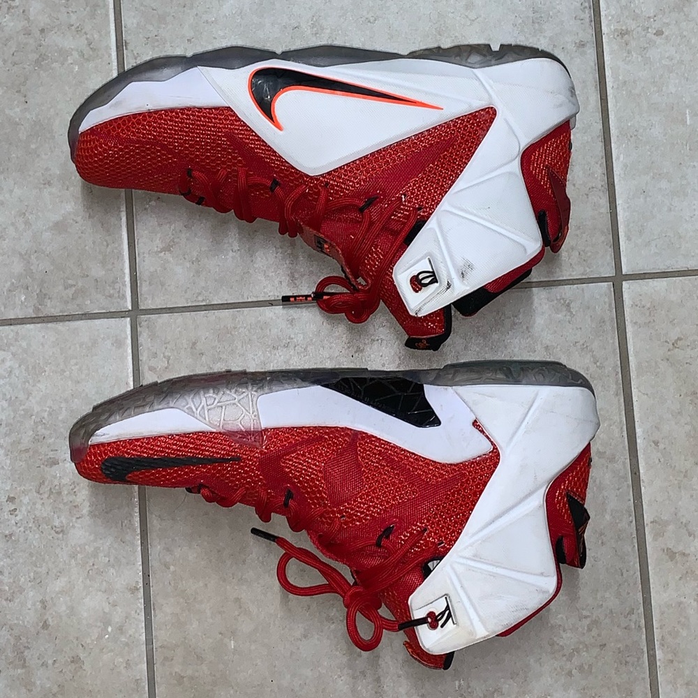 Nike Lebron 12 "Heart Of A Lion" Size 10 View 6